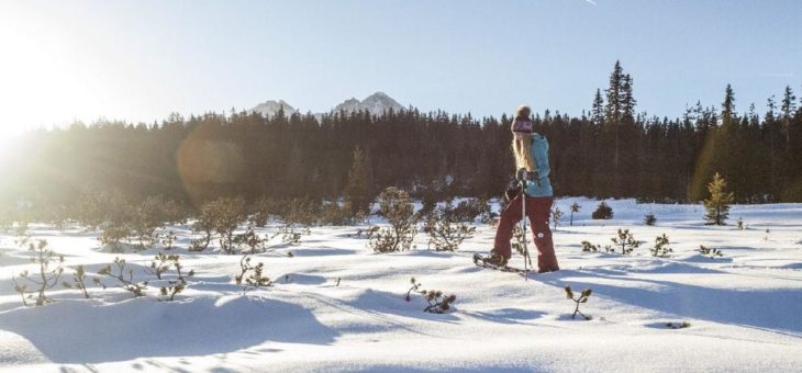 Gehen und Träumen im Schnee