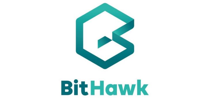 Strategisches Rebranding: Bison IT Services AG wird zur BitHawk AG