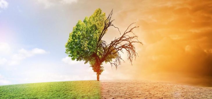 Erfolgreicher Klimaschutz durch Kommunen
