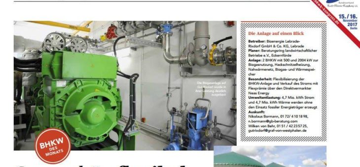 Bessere Flexibilität bei Biogas-BHKW-Anlagen