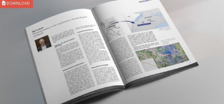 Gewinner Elektrospeicher