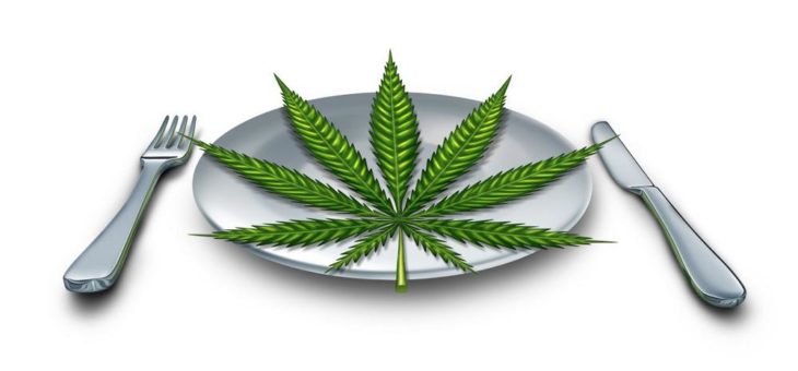 Chemesis steigt auch in den Markt für Cannabis-Lebensmittel ein!