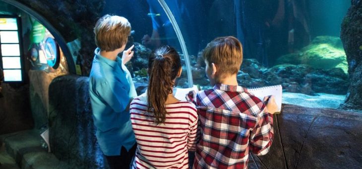 Wegen Inventur geöffnet! Fische zählen im Großaquarium