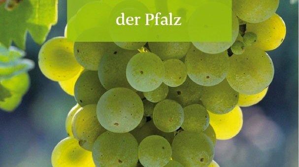Neue Broschüre stellt 14 Rebsorten der Pfalz vor