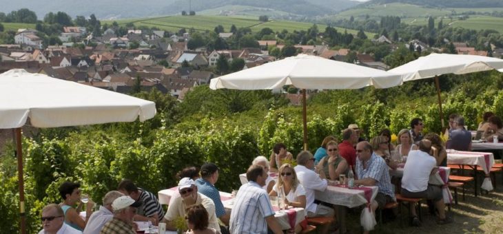 An der Südlichen Weinstraße wird (fast) jeder Tag zum Fest: Highlights aus dem Veranstaltungskalender 2019