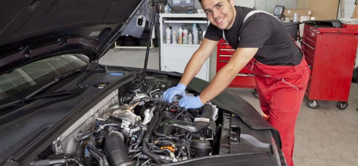 Mehr junge Handwerker am Start