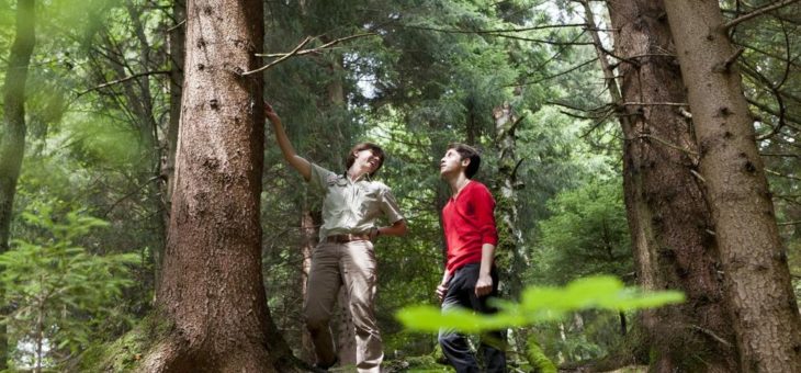 So vielfältig wie der Wald
