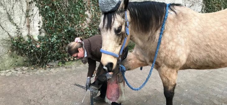 Hufschuhe? „Es gibt kein „Entweder Oder.“