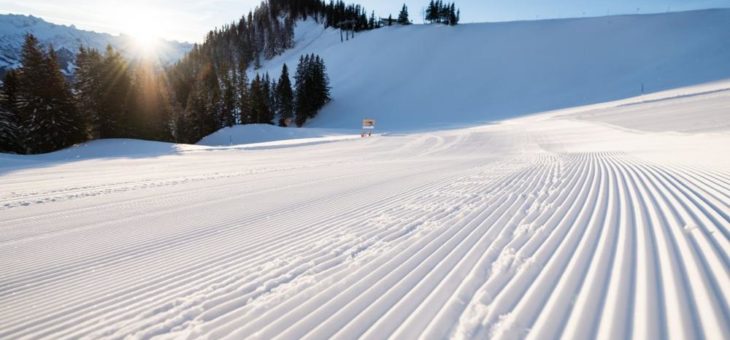 Winter mit Wahlfreiheit