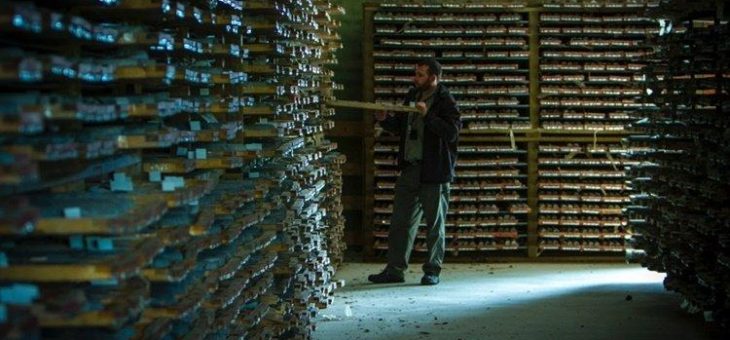 Steigender Goldpreis beflügelt Aktie von Treasury Metals