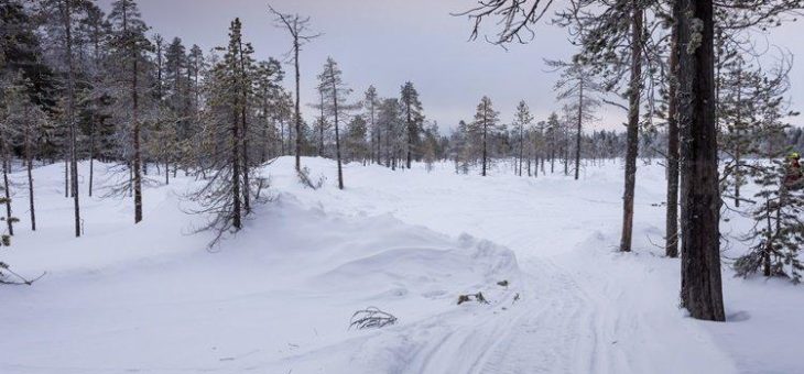 Mawson Resources: Große Spannung in Finnland