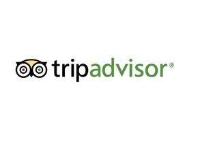 dailypoint™ gibt Partnerschaft mit TripAdvisor bekannt
