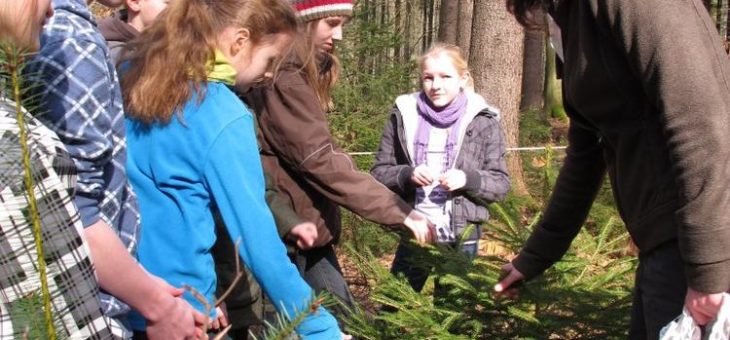 Zertifizierte Waldpädagoginnen und Waldpädagogen treffen sich im Harz