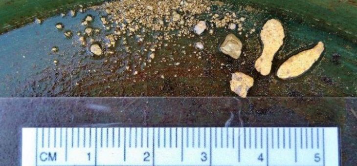 De Grey weist weiteres grobkörniges Gold auf dem Pilbara-Projekt nach