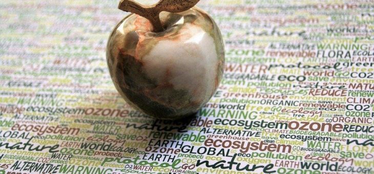 Co-Domains: Profitieren Sie von Tippfehler-Domains