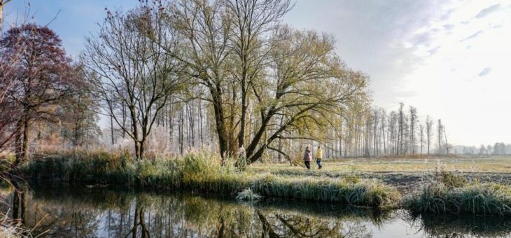 Der Spreewald ist beliebter denn je!