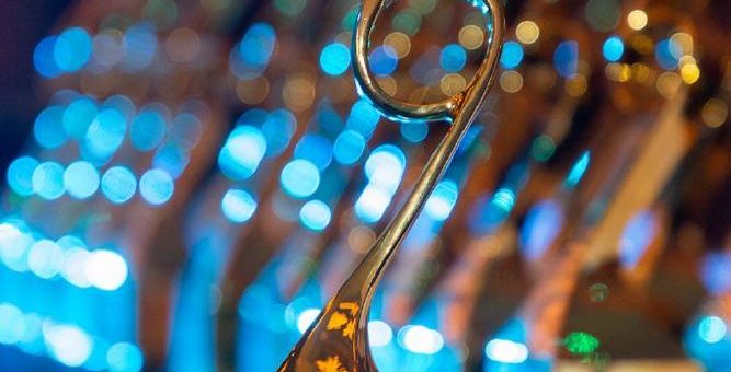 SSI Schäfer gewinnt in der Kategorie: „Supply Chain Transformation of the Year (Projects)“