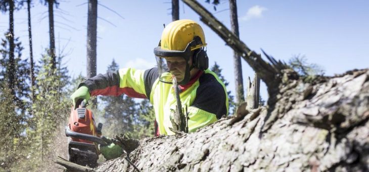 Sturmtief Eberhardt – Landesforsten warnen vor Betreten der Wälder