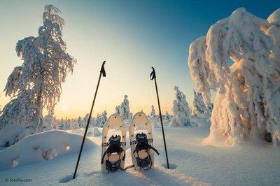 Schneeschuhwandern im Hossa Nationalpark