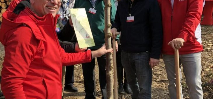 4.400 neue Bäume für den Bad Sodener Wald
