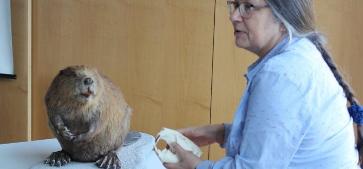 Auf die Pflege kommt es an