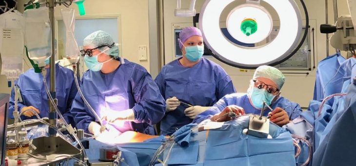 Gefährliches Kreislaufversagen: Wie die Versorgung geschwächter Herzen verbessern?