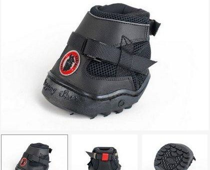 Der Lieblingshufschuh vieler Pferde