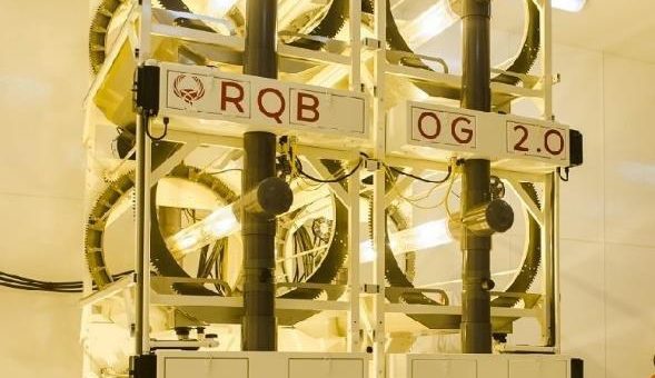 Ravenquest erhält Anbaulizenz von Health Canada für Anlage in Edmonton