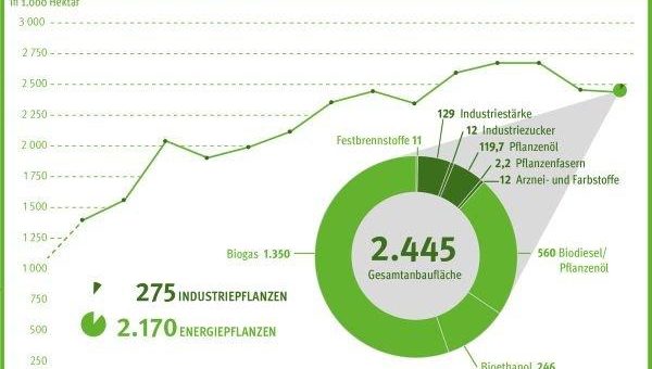 Anbau nachwachsender Rohstoffe in Deutschland: Rapsanbau für Biodiesel geht zurück