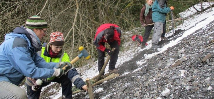 Im Einsatz für naturnahe Wälder: Das Bergwaldprojekt bei einer Familienwoche im Einsatz in Clausthal-Zellerfeld