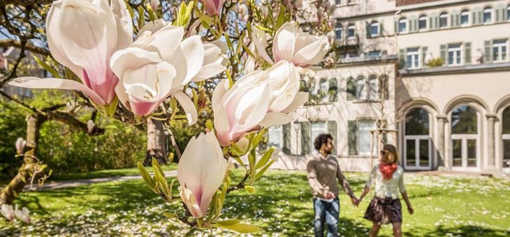 Ostererlebnisse für alle Sinne in Konstanz