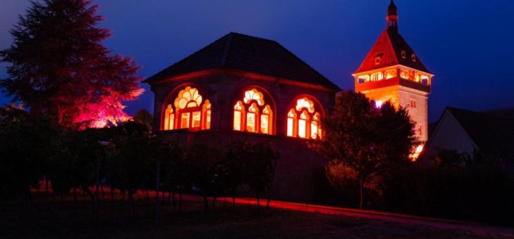 Vierte „Nacht der Weinforscher“ am 6. Juli 2019
