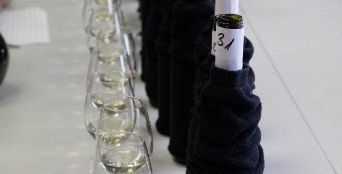 Pfalzwein startet Jungwinzer-Wettbewerb