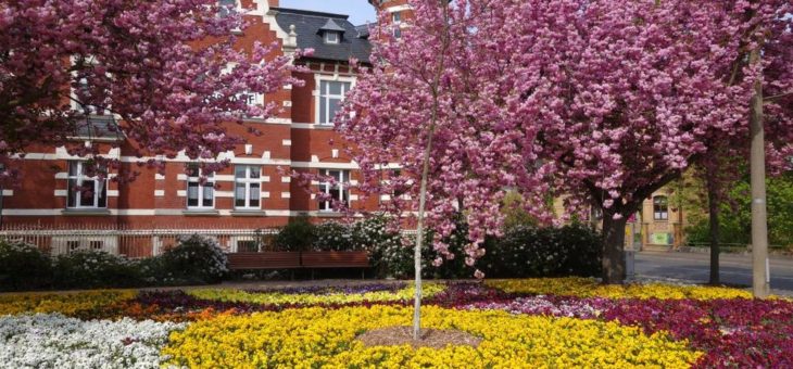 1. Kinder-Ferienpass für Urlauberfamilien in Lutherstadt Wittenberg/Sachsen-Anhalt