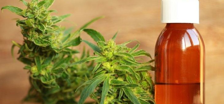 US-Cannabis: Herausforderungen und Chancen in einem zersplitterten Markt