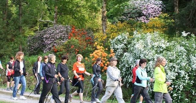 Nordic-Walking Saison im Harz beginnt