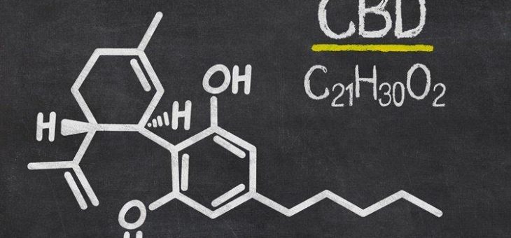 FDA offen für mögliche Legalisierung einiger Cannabisprodukte