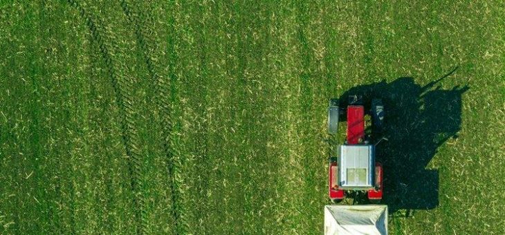 Vielversprechend: Investieren in den Kalisektor