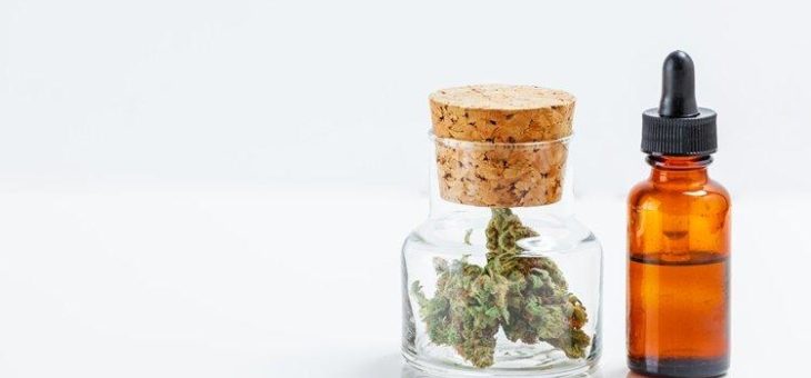 Chemistree Technology zeigt relative Stärke in schwächerem Cannabismarkt