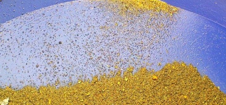 Mawson Resources: Neuentdeckung auf Gold- und Kobaltprojekt Rajapalot