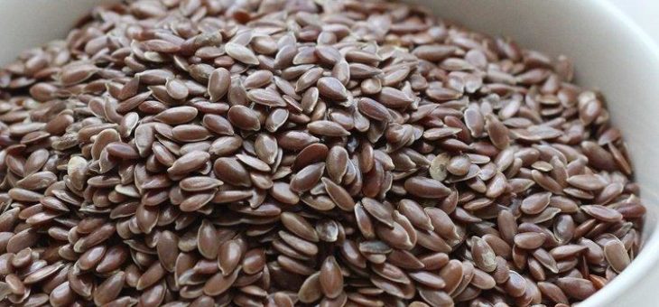 LeanLife Health: Bereit für die kommerzielle Großproduktion von Omega3