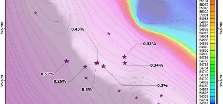 Delrey gibt positive Ergebnisse der Phase II Proben auf Blackie, Star und Porcher