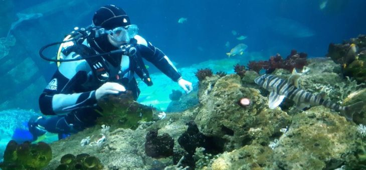 Ehrengäste zum Hai-Live Event im SEA LIFE Speyer