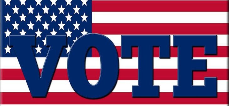 Vote-Domains – die Domains für Wahlen