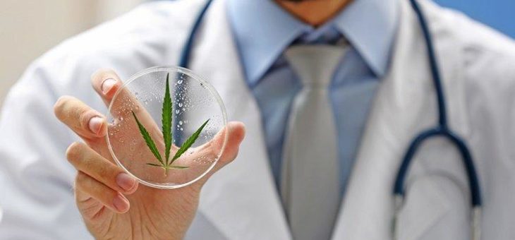 Gewaltiges, globales Potenzial für Medizinalcannabis