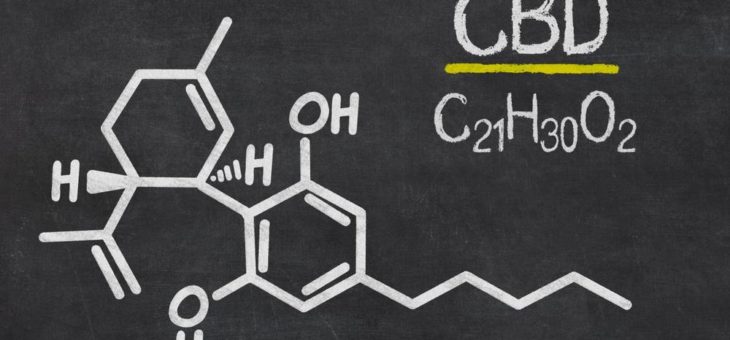 Canopy und Cronos planen Eintritt in den US-CBD-Markt für 2019