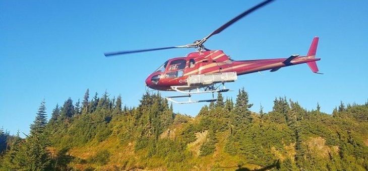 Bringt Skeena Resources die Weltklassemine Eskay Creek wieder in Produktion?