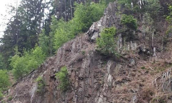 Borkenkäfer verursachen Baumfällarbeiten an den Steilhängen im Okertal