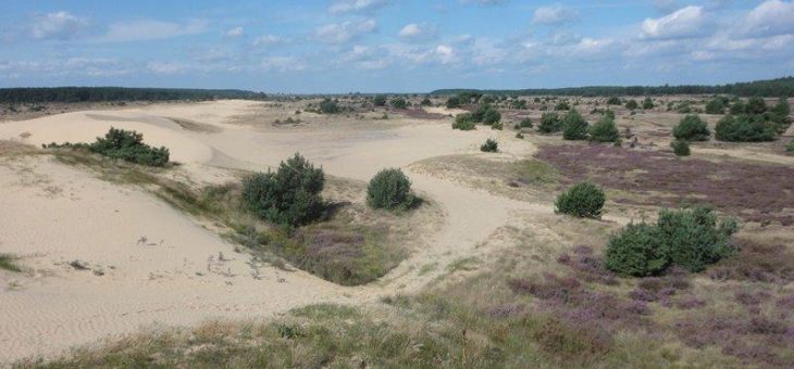 Gemeinsam im Einsatz für das Naturerbe des Bundes