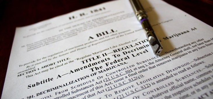 Trotz Verbot: Immer mehr US-Banken machen Geschäfte mit Cannabis-Firmen